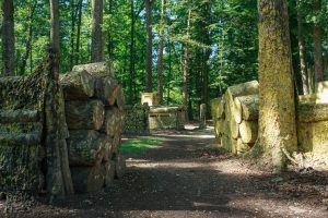 Paintball im Wald für Junggesellenabschiede und Firmenevents